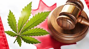 CANNABIS%2bWEBINAR.jpg