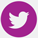 twitter logo